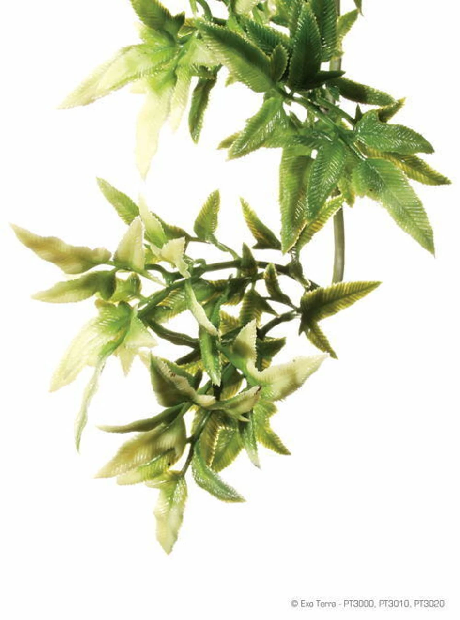 Exo Terra Hanging Croton Plant (Large 20" Long) 1 Exo Terra Hanging Croton Plant (Large 20" Long)