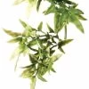Exo Terra Hanging Croton Plant (Medium 14" Long)