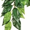Exo Terra Hanging Ficus Large 23"
