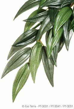 Exo Terra Hanging Ruscus Plant (Medium 17" Long)