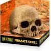Exo Terra Primate Skull Hide (Large)