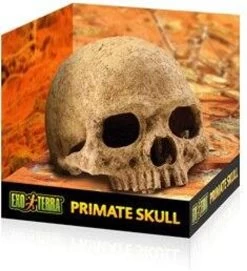 Exo Terra Primate Skull Hide (Large)