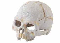 Exo Terra Primate Skull Hide (Small)
