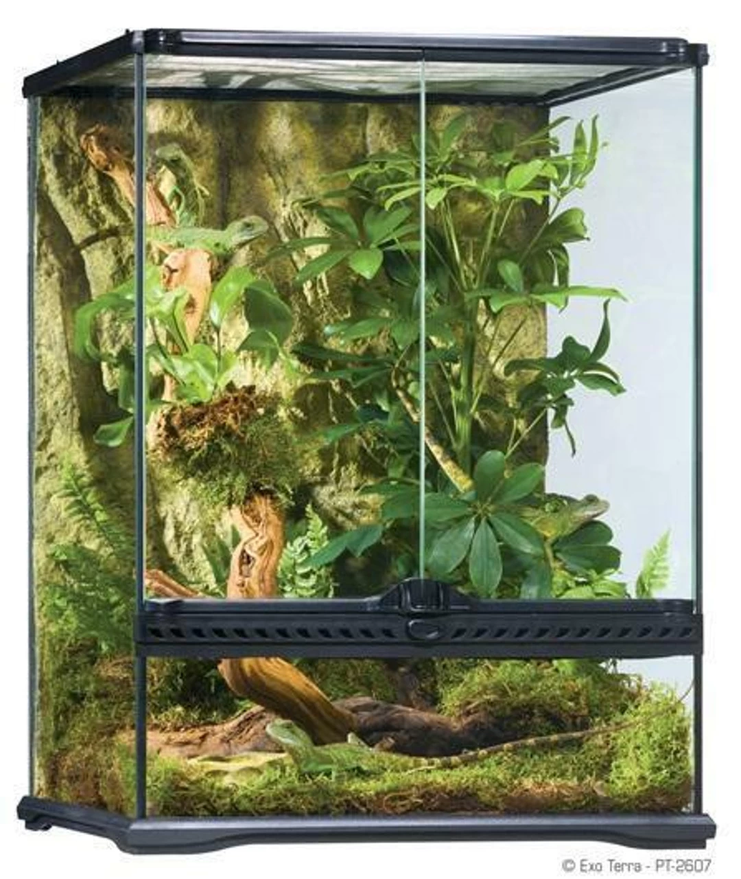 Repti Life Shop -Repti Life Shop exo terra exo terra small tall terrarium 18 x 18 x 24 37050.1620674612