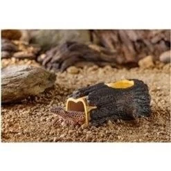 Exo Terra Wet Log - Large (4.33 H X 5.7 W X 9.44 D) -Repti Life Shop exo terra exo terra wet log large 4.33 h x 5.7 w x 9.44 d 06689.1620673506