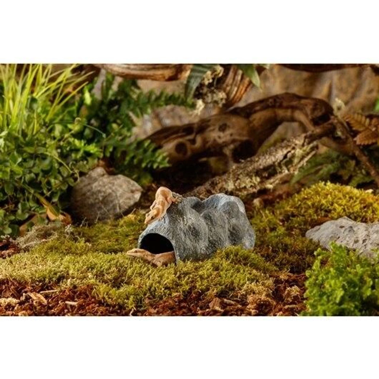 Exo Terra Wet Rock (Large) 2 Exo Terra Wet Rock (Large) - Image 2