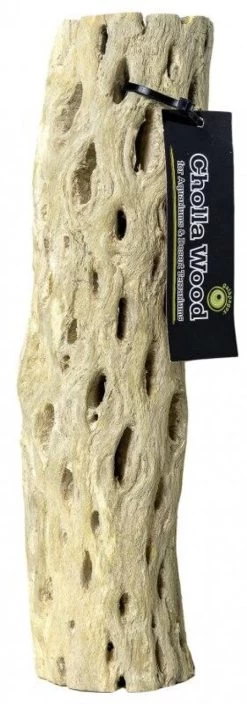 Galapagos Cholla Wood Branches 24"