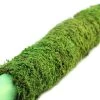 Galapagos Moss Poles 30"