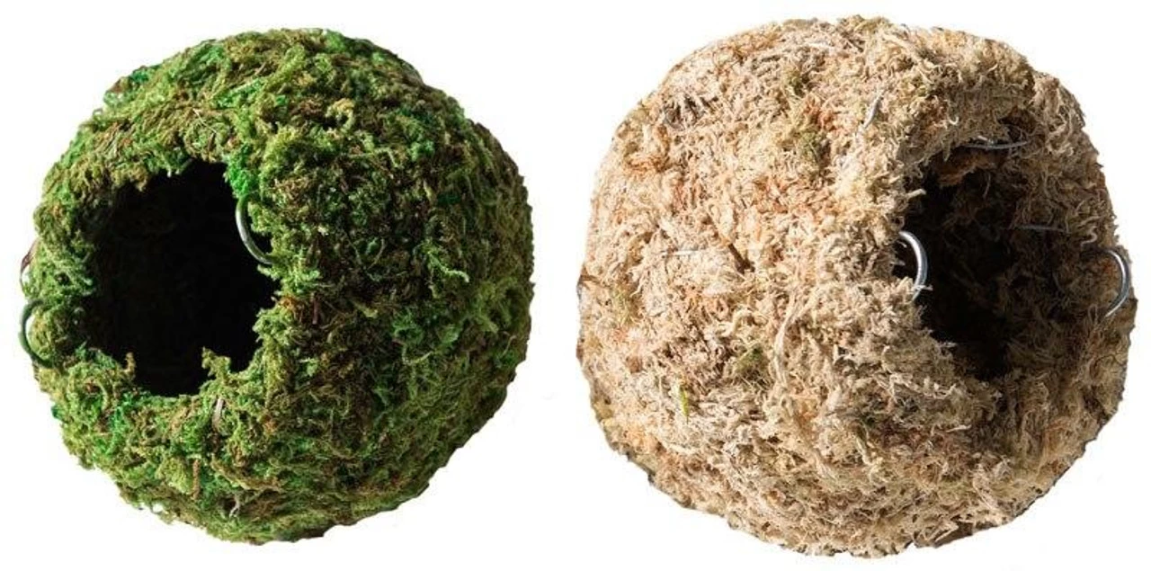 Galapagos Mossy Caves, Green, 4" Diameter For Hiding & Humidity 1 Galapagos Mossy Caves, Green, 4" Diameter For Hiding & Humidity