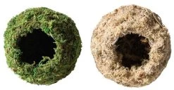 Galapagos Mossy Caves, Green, 4" Diameter For Hiding & Humidity 5 Galapagos Mossy Caves, Green, 4" Diameter For Hiding & Humidity -Repti Life Shop galapagos galapagos mossy caves green 4 diameter for hiding and humidity 52411.1620675585