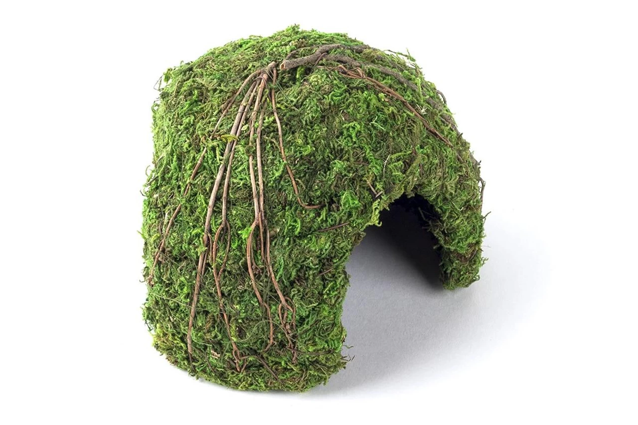 Galapagos Mossy Dome/Hide/Cave, Green, 6" Diameter 2 Galapagos Mossy Dome/Hide/Cave, Green, 6" Diameter - Image 2