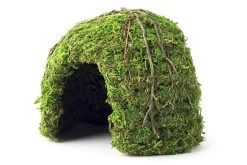 Galapagos Mossy Dome/Hide/Cave, Green, 6" Diameter