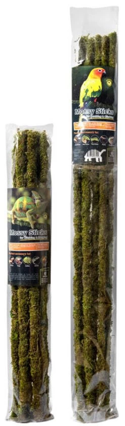 Galapagos Mossy Sticks For Climbers In All Terrariums 18in
