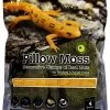 Galapagos Pillow Moss 4QT