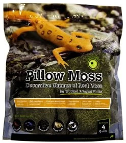 Galapagos Pillow Moss 4QT