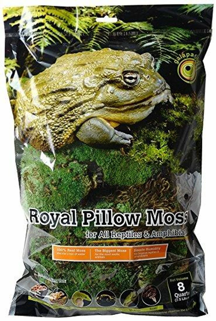 Galapagos Royal Pillow Moss Decorative Clumps Of Real Moss For Tropical & Forest Tanks 8Qt. 1 Galapagos Royal Pillow Moss Decorative Clumps Of Real Moss For Tropical & Forest Tanks 8Qt.