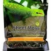 Galapagos Sheet Moss Decorative Sheet Of Real Moss For Tropical & Forest Tanks 8Qt.