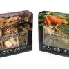 Galapagos Terrarium Starter Kits (Arid)