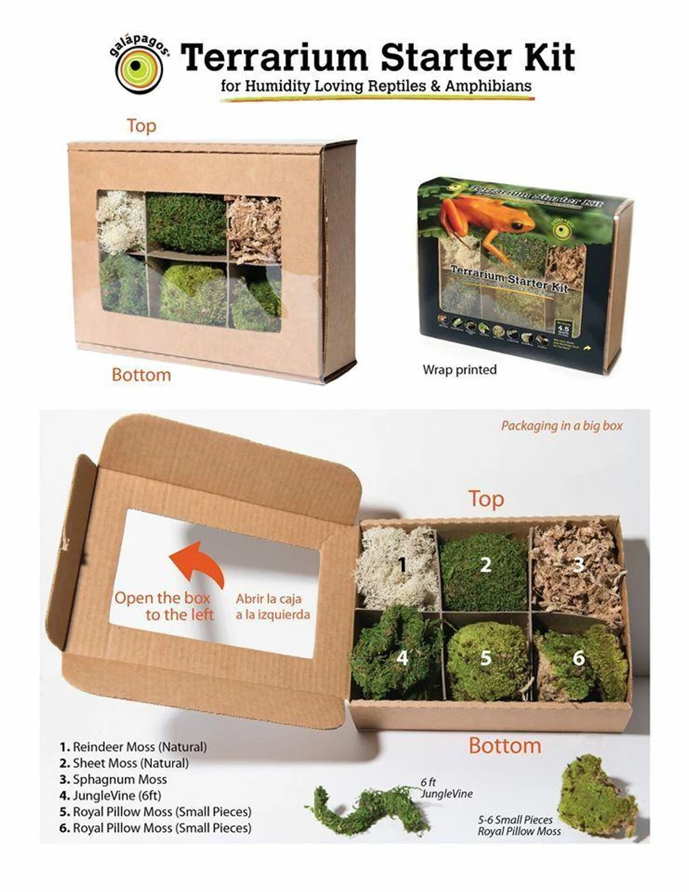 Galapagos Terrarium Starter Kits (Humid) 2 Galapagos Terrarium Starter Kits (Humid) - Image 2