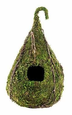 Galapagos Vined Raindrop Mossy Hides 6" X 10"