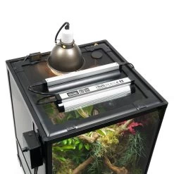 HabiStat Glass Terrarium* , 45 X 45 X 60cm (18 X 18 X 24"), Flat-Packed -Repti Life Shop habistat glass terrarium 45 x 45 x 60cm 18 x 18 x 24 flat packed 49239.1695252920