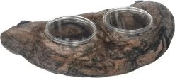 MagNaturals Gecko Ledge Cup Holder, Earth