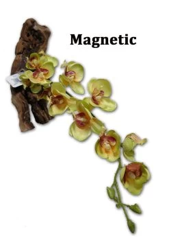 MagNaturals Habi-Scape Yellow Orchid With Driftwood, 16"