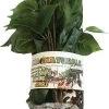 MagNaturals Hanging Jungle, Large