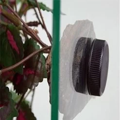 MagNaturals Hanging Jungle, Small