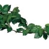 MagNaturals Tropical Vine Cluster