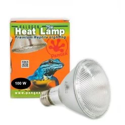 Pangea 100w Pangea Halogen Heat Lamp
