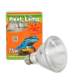 Pangea 50w Pangea Halogen Heat Lamp