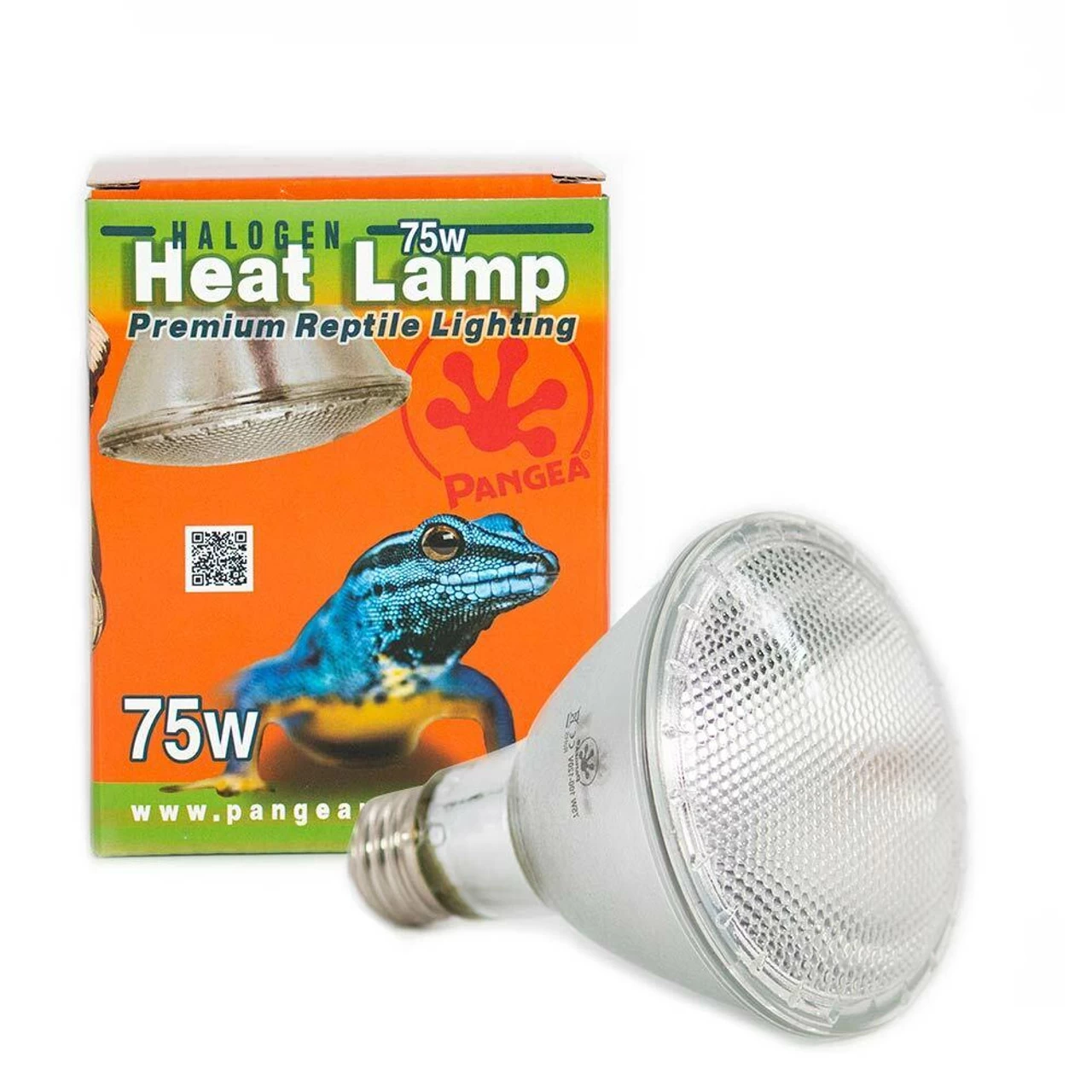 Pangea 50w Pangea Halogen Heat Lamp 1 Pangea 50w Pangea Halogen Heat Lamp
