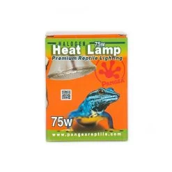 Pangea 75w Pangea Halogen Heat Lamp-4pk -Repti Life Shop pangea pangea 75w pangea halogen heat lamp 4pk 07513.1623358336