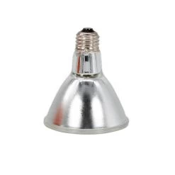 Pangea 75w Pangea Halogen Heat Lamp-4pk -Repti Life Shop pangea pangea 75w pangea halogen heat lamp 4pk 97172.1623358444
