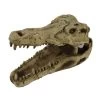 Pangea Crocodile Skull