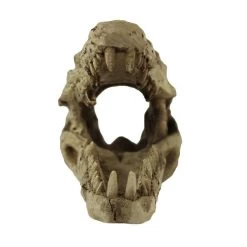Pangea Crocodile Skull -Repti Life Shop pangea pangea crocodile skull 45111.1630684913