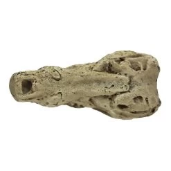 Pangea Crocodile Skull -Repti Life Shop pangea pangea crocodile skull 85513.1630684913
