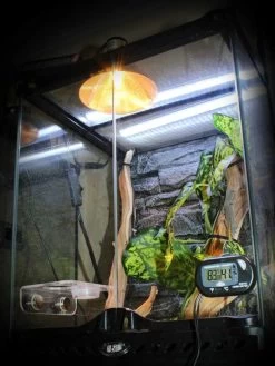 Pangea Digital Combo Thermometer (Temperature) Humidity Gauge / Hygrometer -Repti Life Shop pangea pangea digital combo thermometer temperature humidity gauge hygrometer 85831.1671039983