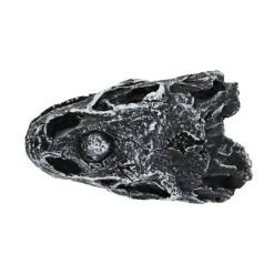 Pangea Dinosaur Skull Cave -Repti Life Shop pangea pangea dinosaur skull cave 44726.1630684961