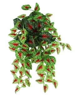 Pangea Hanging Bush 18 In. Caladium