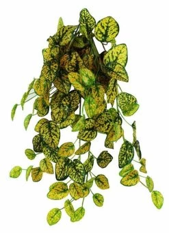 Pangea Hanging Bush 18 In. Japanese Laurel