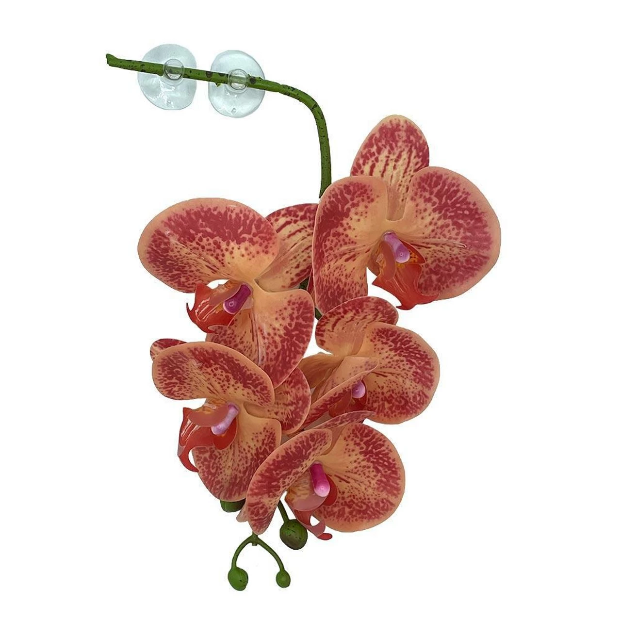 PANGEA HANGING ORCHIDS - ORANGE/YELLOW 1 PANGEA HANGING ORCHIDS - ORANGE/YELLOW