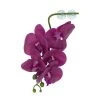 PANGEA HANGING ORCHIDS - PURPLE