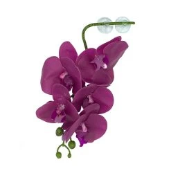 PANGEA HANGING ORCHIDS - PURPLE