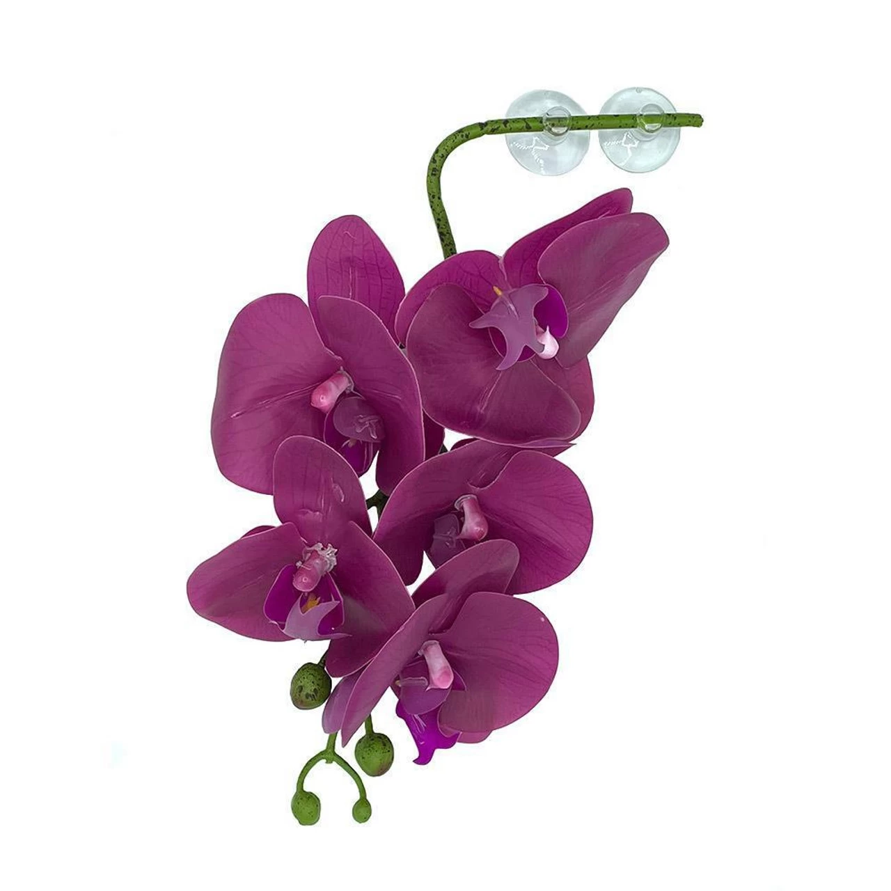 PANGEA HANGING ORCHIDS - PURPLE 1 PANGEA HANGING ORCHIDS - PURPLE