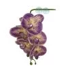 PANGEA HANGING ORCHIDS - PURPLE/YELLOW