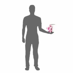 PANGEA HANGING ORCHIDS - WHITE -Repti Life Shop pangea pangea hanging orchids white 01866.1677257900