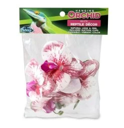 PANGEA HANGING ORCHIDS - WHITE -Repti Life Shop pangea pangea hanging orchids white 04744.1677257900