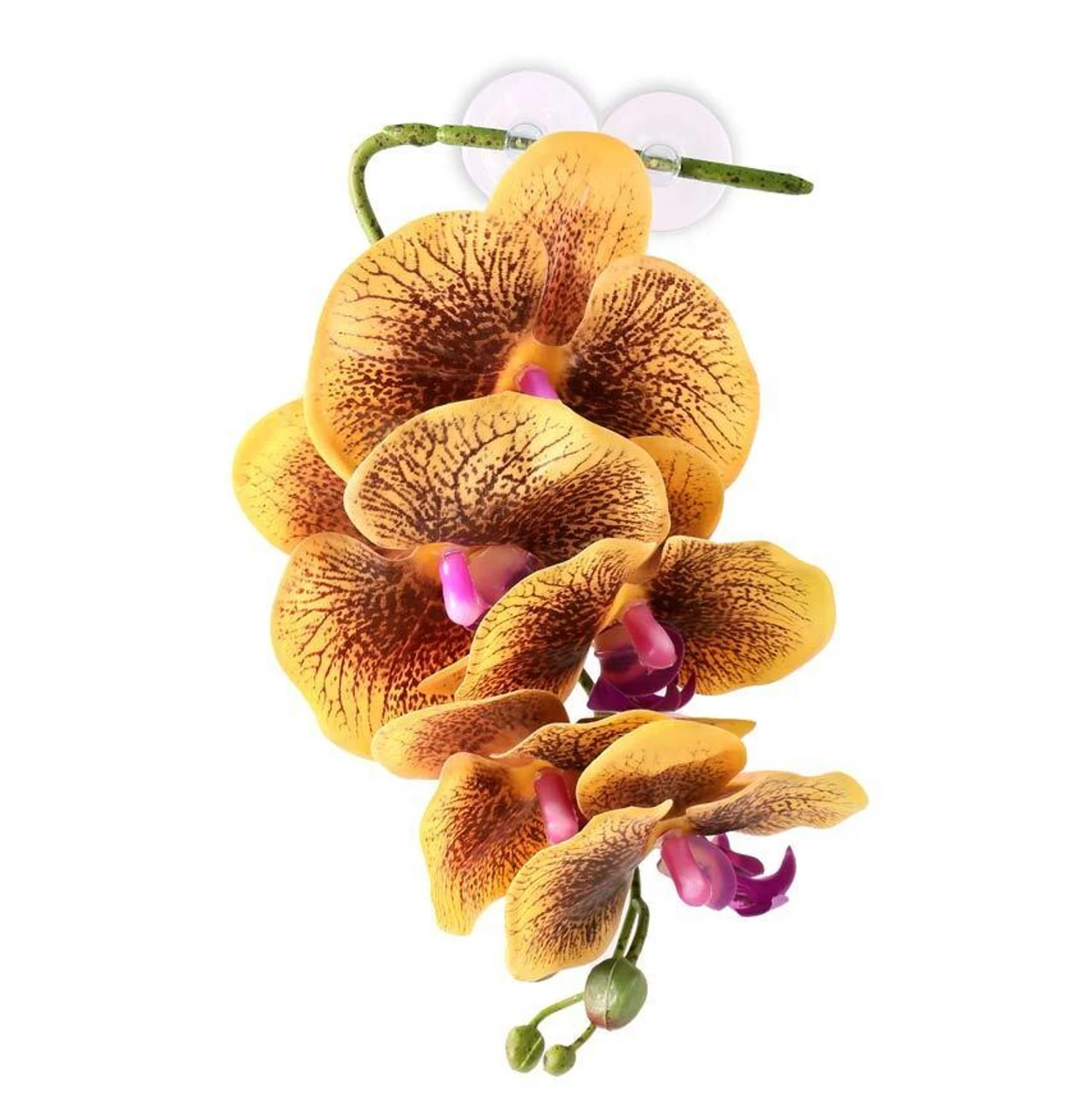 PANGEA HANGING ORCHIDS - YELLOW 1 PANGEA HANGING ORCHIDS - YELLOW
